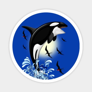 Orca Killer Whale jumping out of Ocean Magnet